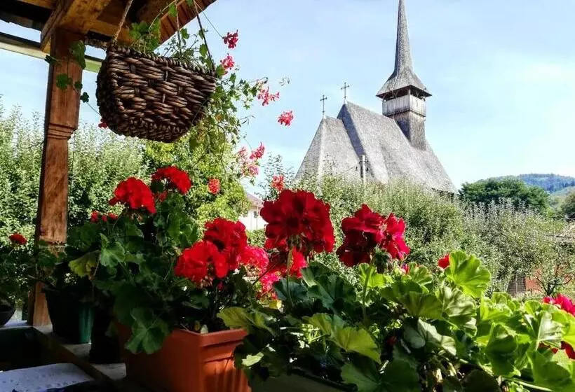 هتل Pajisti Verzi / Green Meadows Guest House