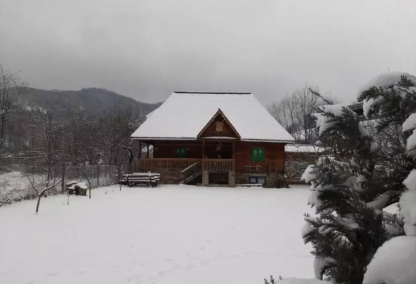 هتل Pajisti Verzi / Green Meadows Guest House