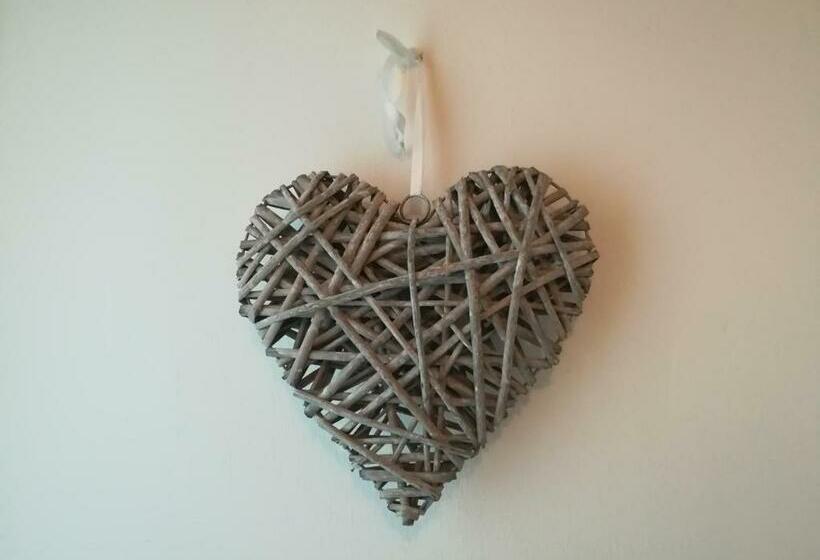 B & B Color Rovereto