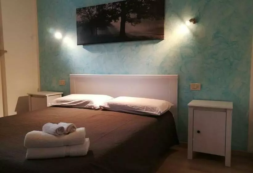 B & B Color Rovereto