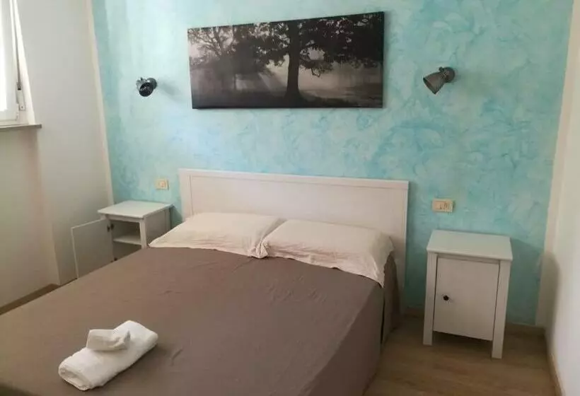 B & B Color Rovereto