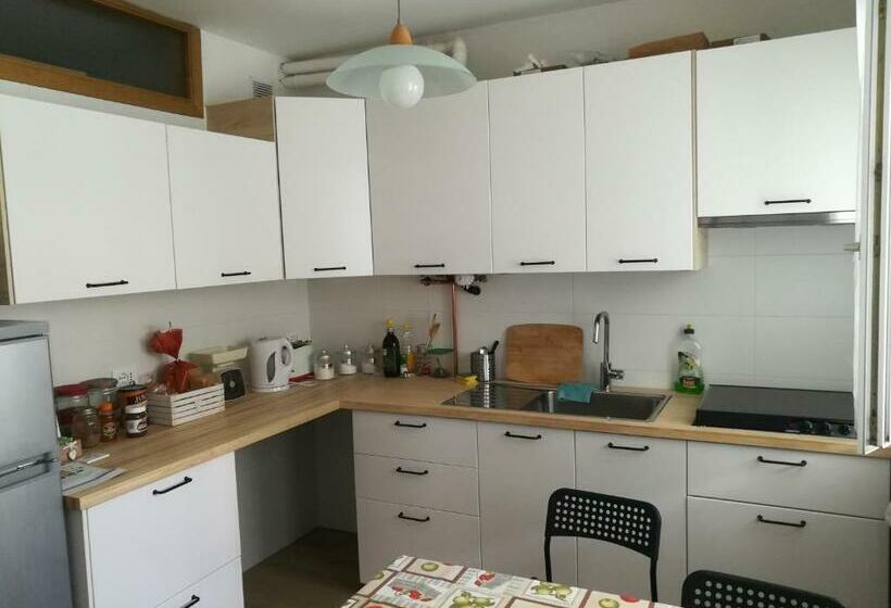 B & B Color Rovereto