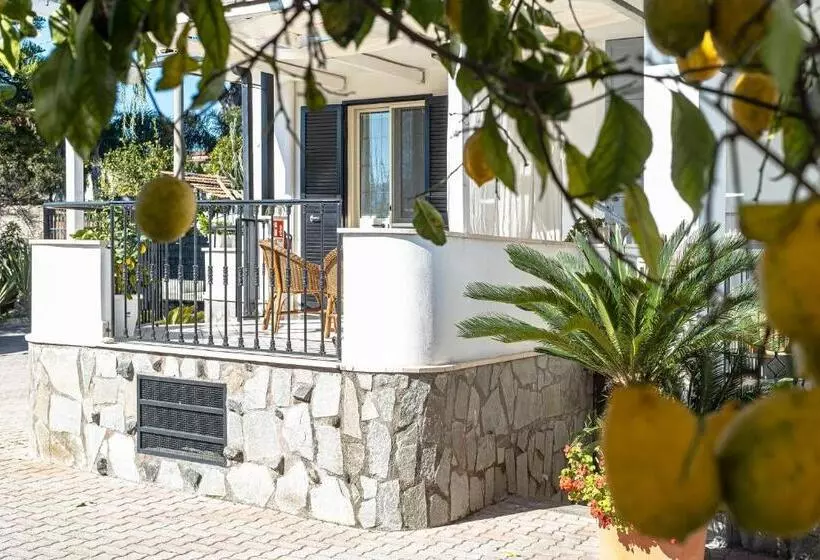 B&b Vesuvian Stone