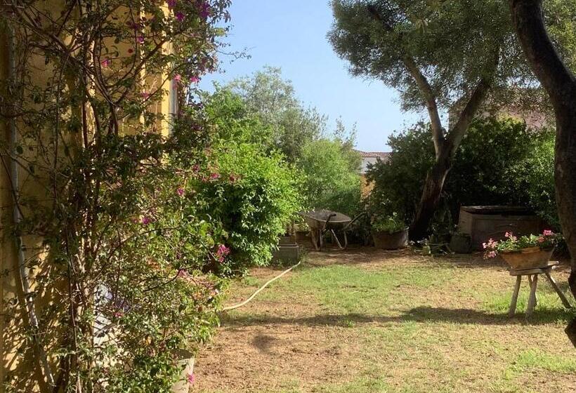 Bed and Breakfast Chambres De La Terre Blanche