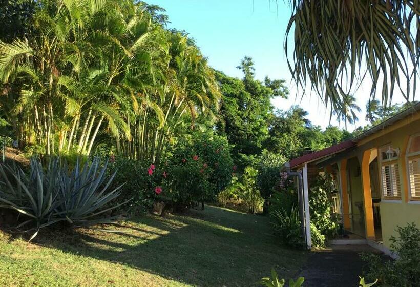 تختخواب و صبحانه Gite Mayo & Hylode S Song