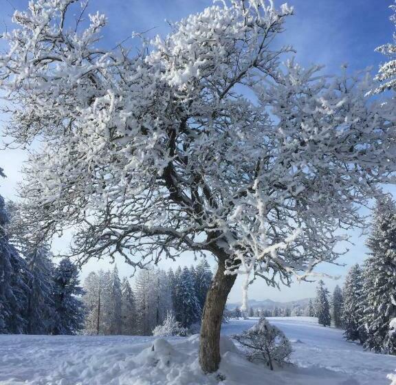 Nocleg ze śniadaniem La Ferme Des Arêtes