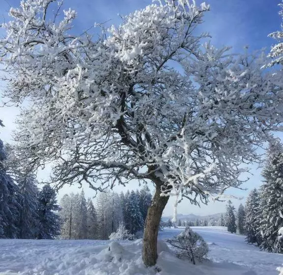 ベッドアンドブレックファースト La Ferme Des Arêtes