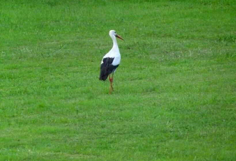 Bed and Breakfast Les Chambres D Ausilia