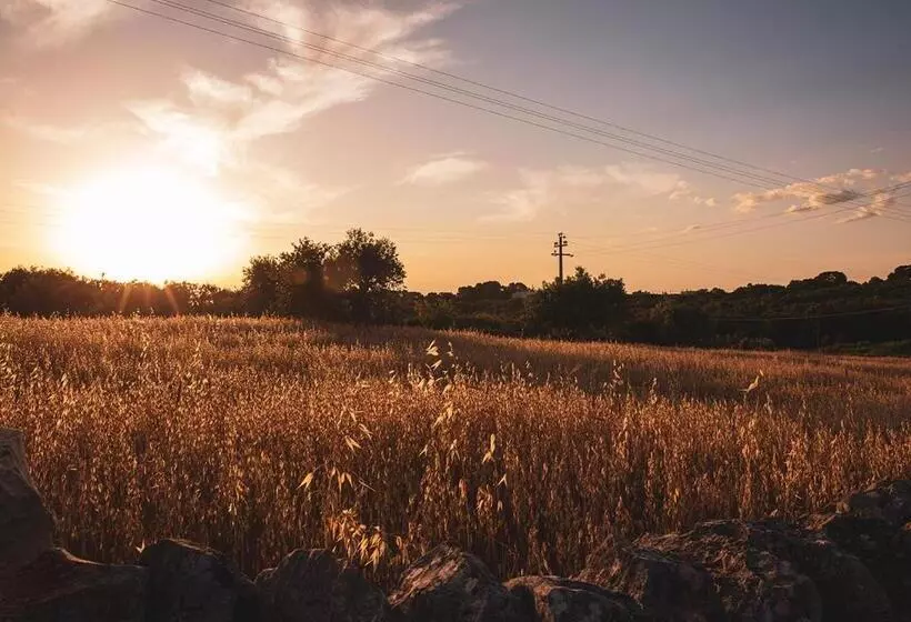 تختخواب و صبحانه Poggio Degli Ulivi