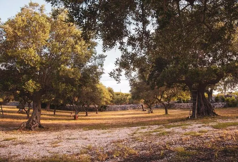 تختخواب و صبحانه Poggio Degli Ulivi