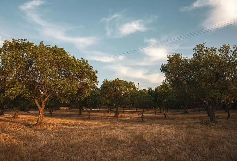 تختخواب و صبحانه Poggio Degli Ulivi