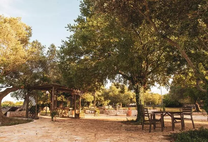 تختخواب و صبحانه Poggio Degli Ulivi