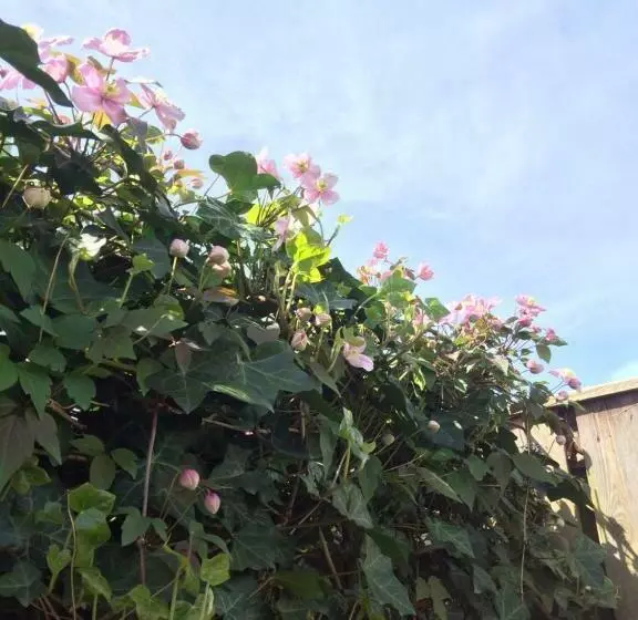 Bed & Breakfast Yerseke