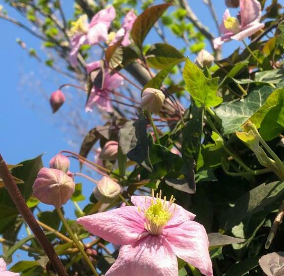 Bed & Breakfast Yerseke