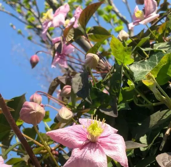 Bed & Breakfast Yerseke