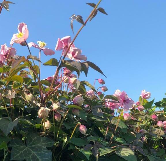 Bed & Breakfast Yerseke