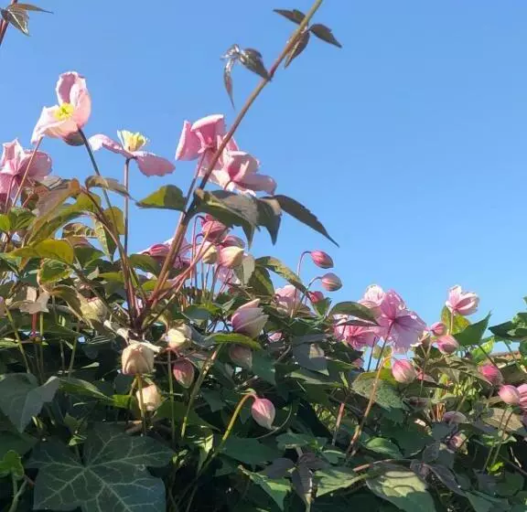 Bed & Breakfast Yerseke