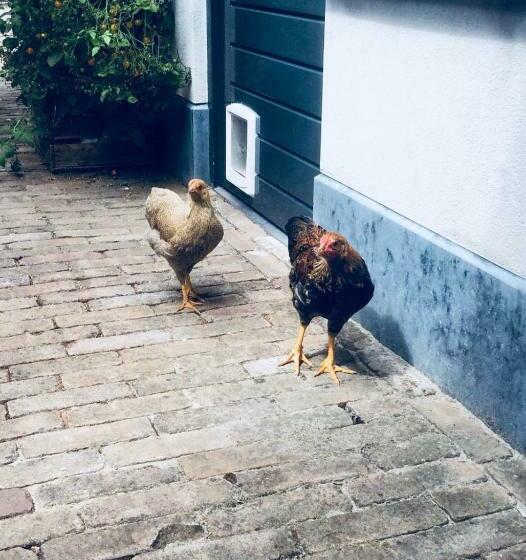 Bed & Breakfast Yerseke