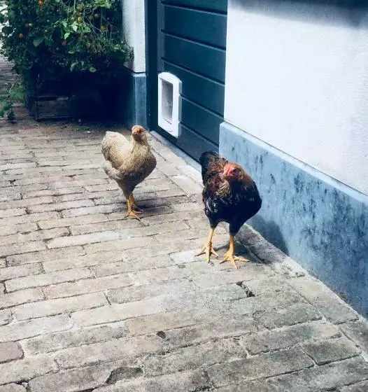 Bed & Breakfast Yerseke