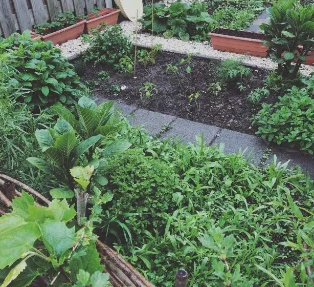 Bed & Breakfast Yerseke