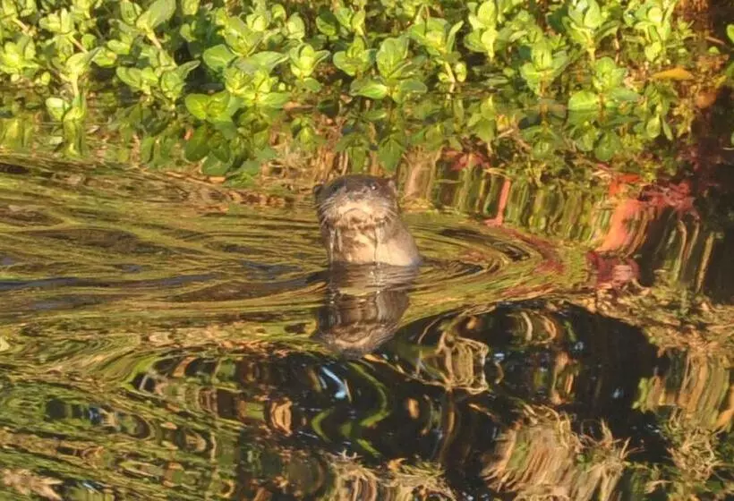 Hotelli Carrecalzada