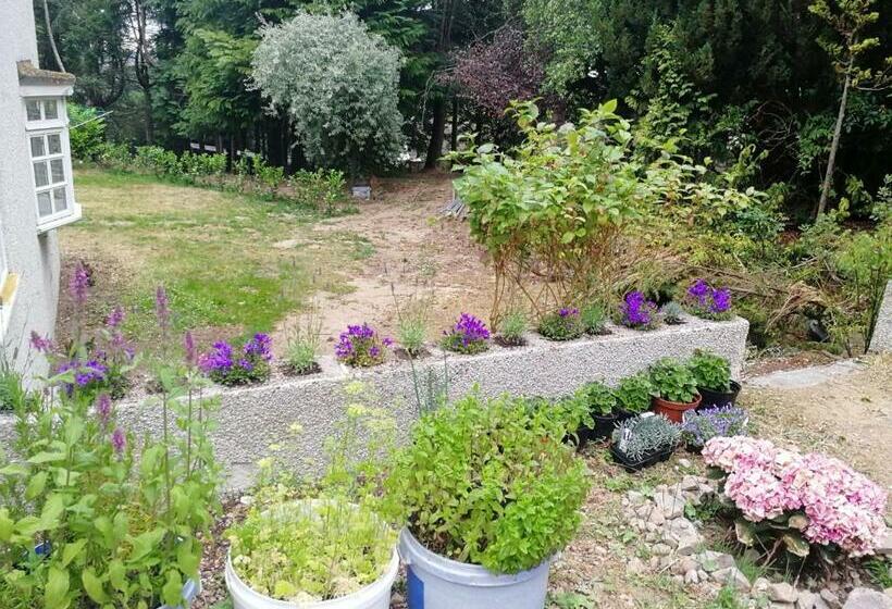 Pensione Robinhill Garden