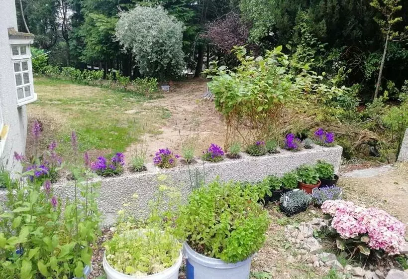 Majatalo Robinhill Garden