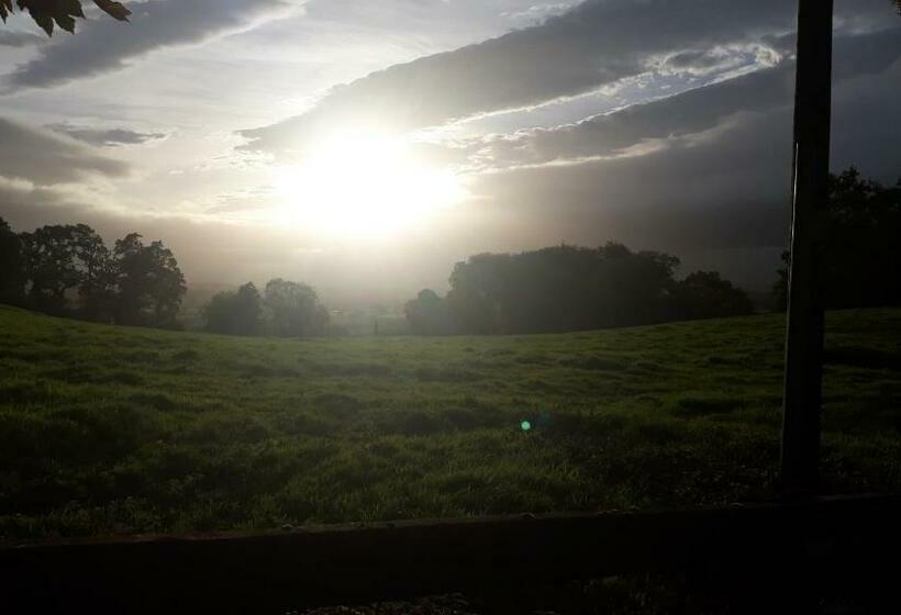 פנסיון Tudor Lodge Guest Accommodation