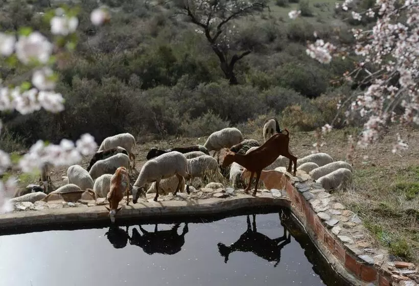 ベッドアンドブレックファースト Casa Mimi