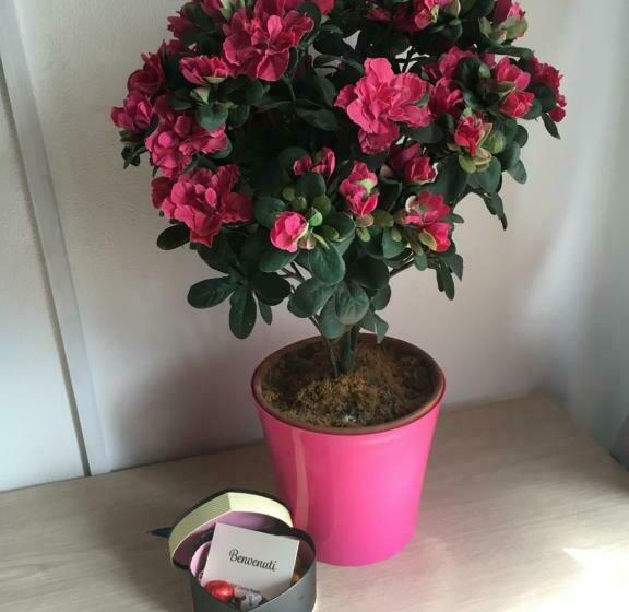 ベッドアンドブレックファースト Cascina Angela