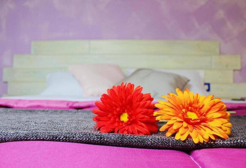 ベッドアンドブレックファースト Cielo Stellato