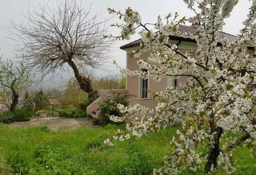 Aamiaismajoitus (B&B) L Antico Gelso