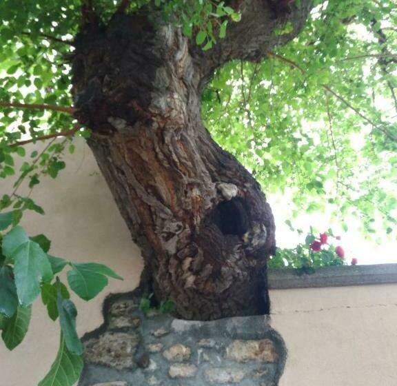 مبيت وإفطار L Antico Gelso