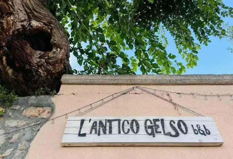 Aamiaismajoitus (B&B) L Antico Gelso