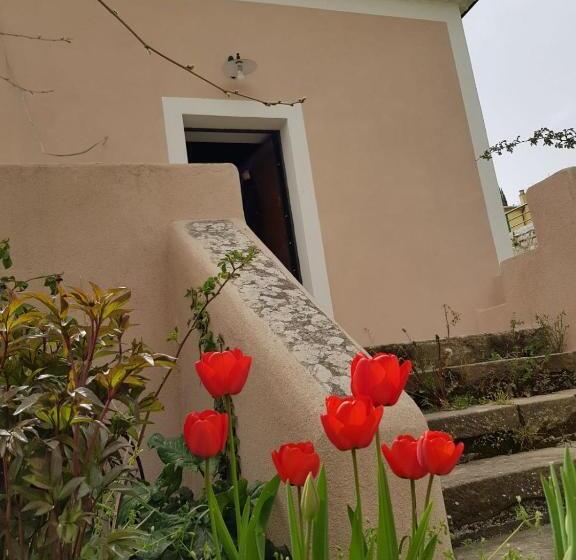 مبيت وإفطار L Antico Gelso