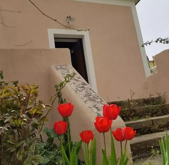 Aamiaismajoitus (B&B) L Antico Gelso