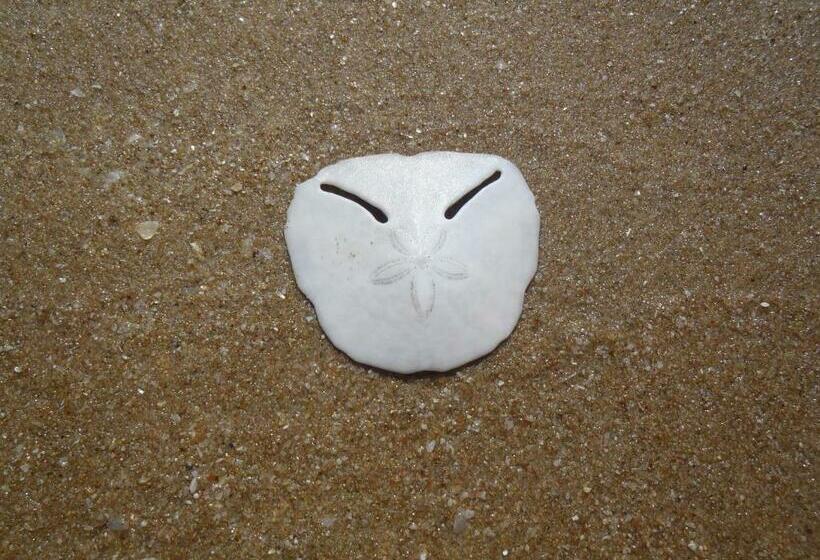 Bed & Breakfast Longships Sanctuary