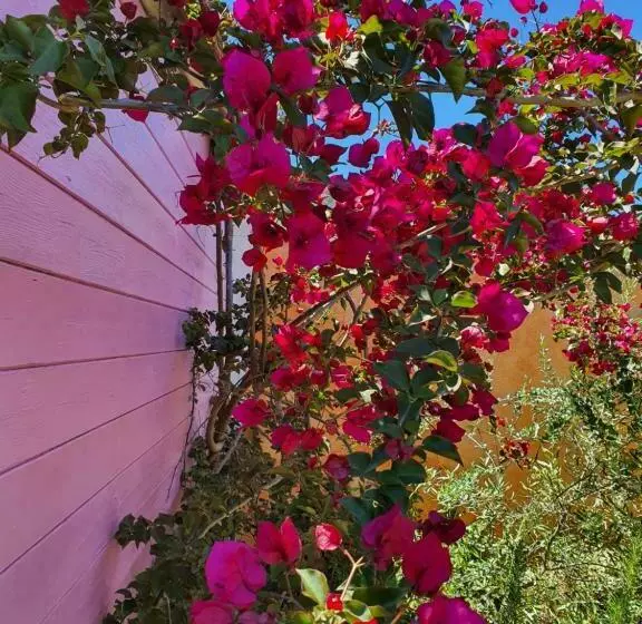 تختخواب و صبحانه Sa Mariposa