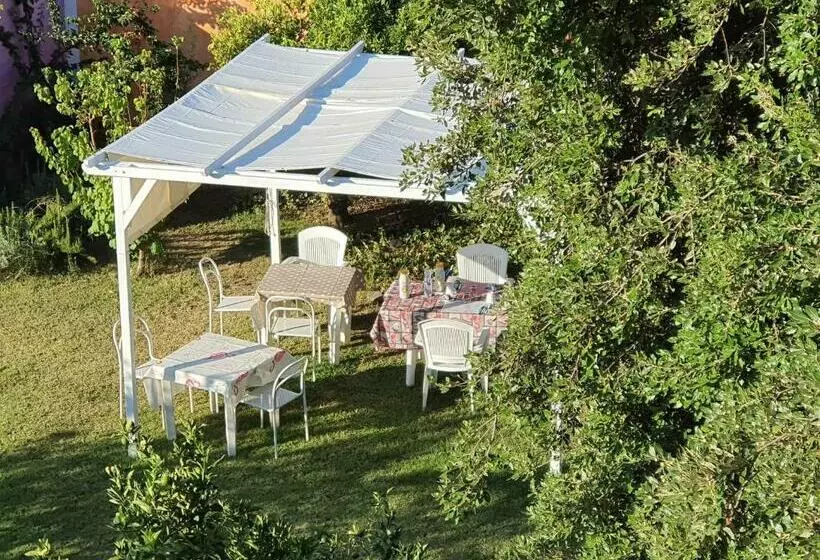 تختخواب و صبحانه Sa Mariposa