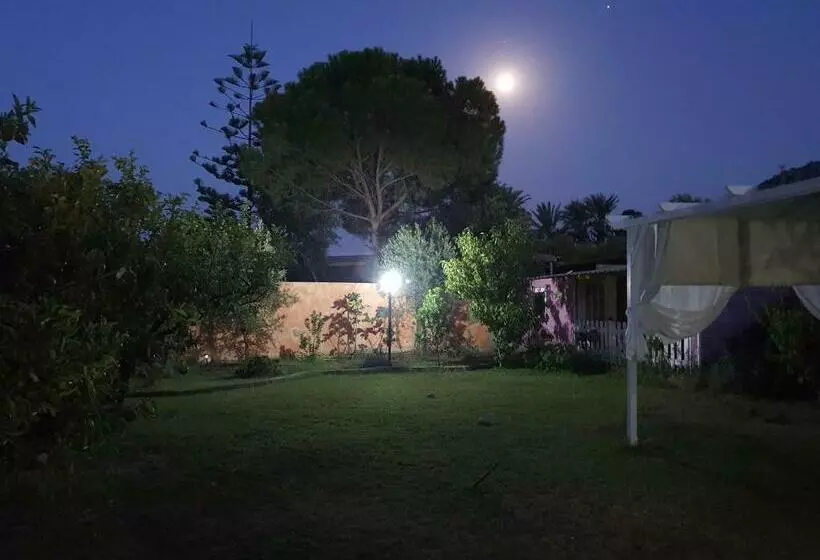 تختخواب و صبحانه Sa Mariposa