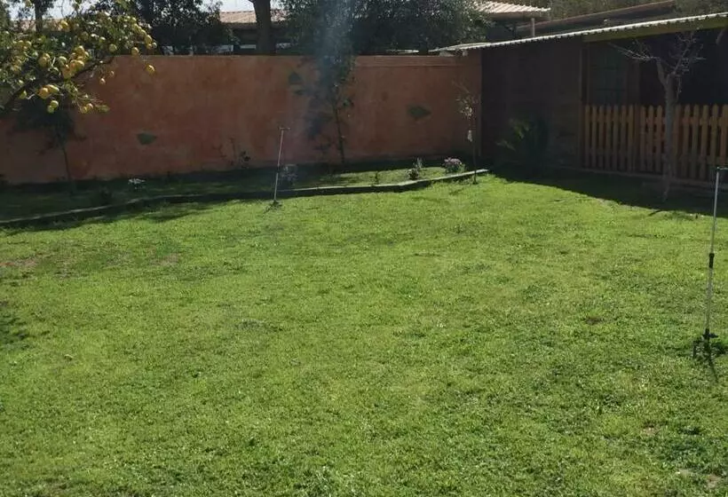 تختخواب و صبحانه Sa Mariposa