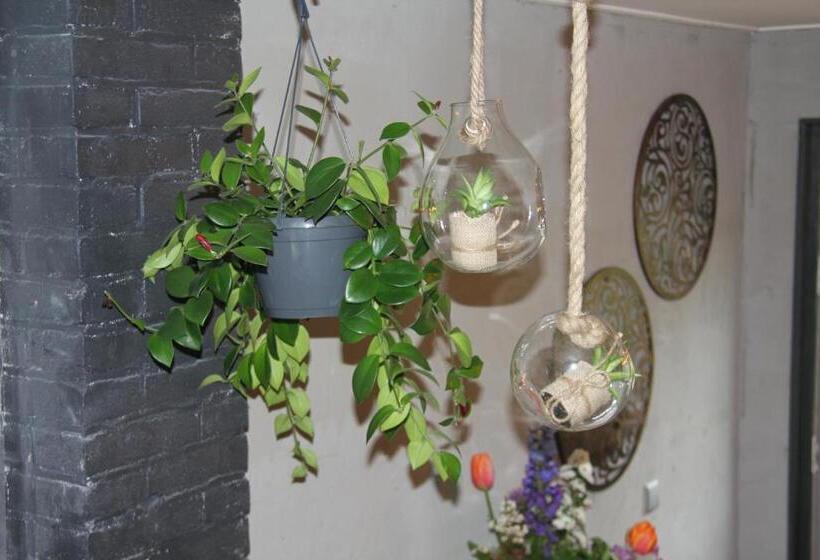 צימר Silly S Inn