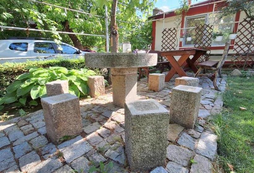 Hotel Casa Matetovici