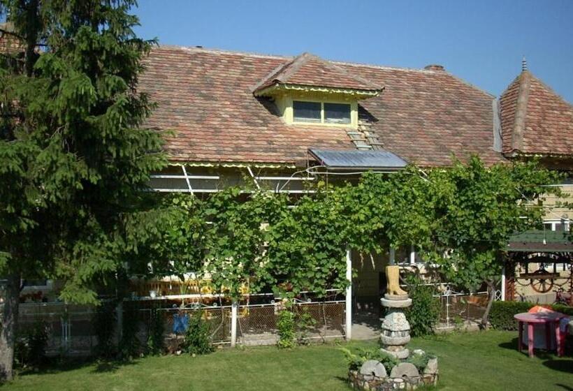 Hotel Casa Matetovici