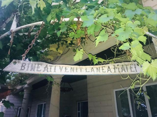 Hotel Casa Matetovici