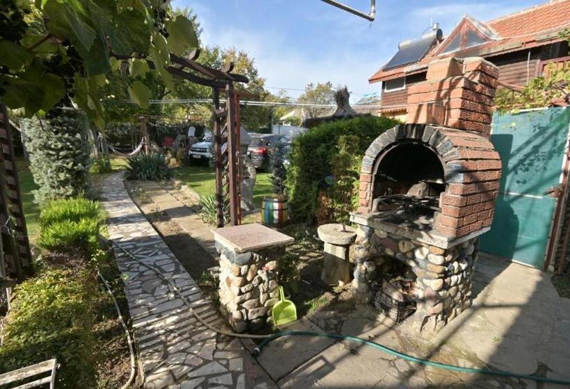 Hotel Casa Matetovici