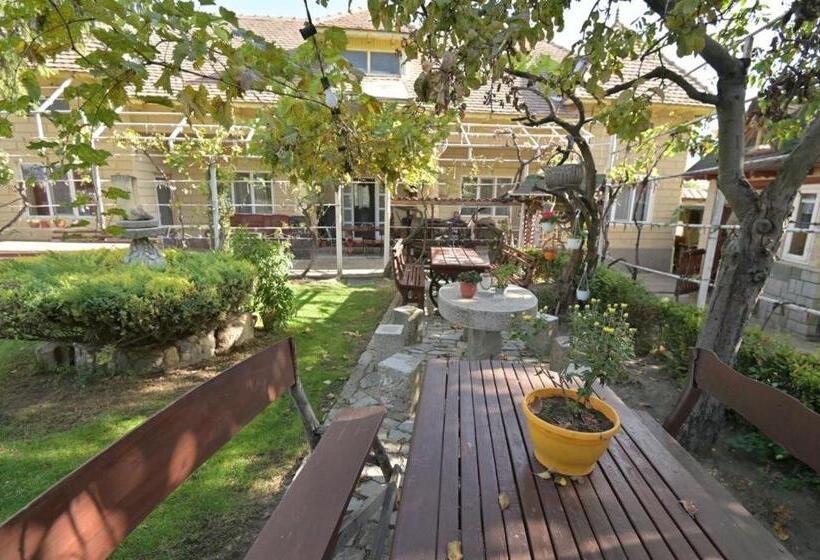 Hotel Casa Matetovici