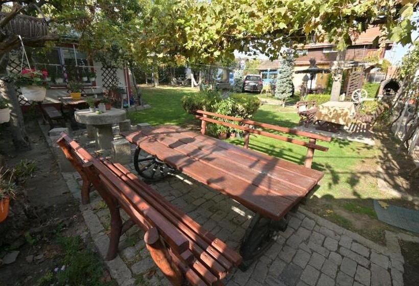 Hotel Casa Matetovici