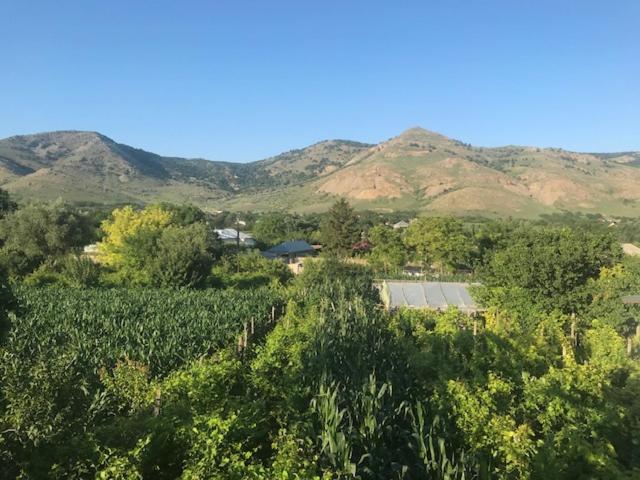 Hotel Casa Matetovici