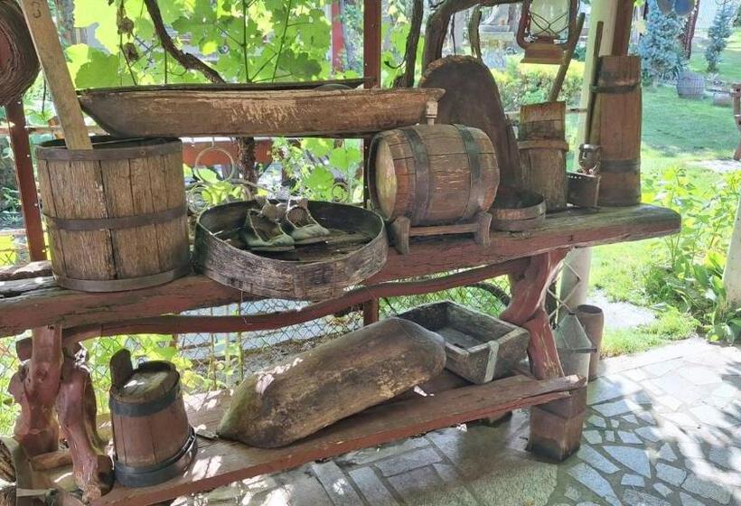 Hotel Casa Matetovici